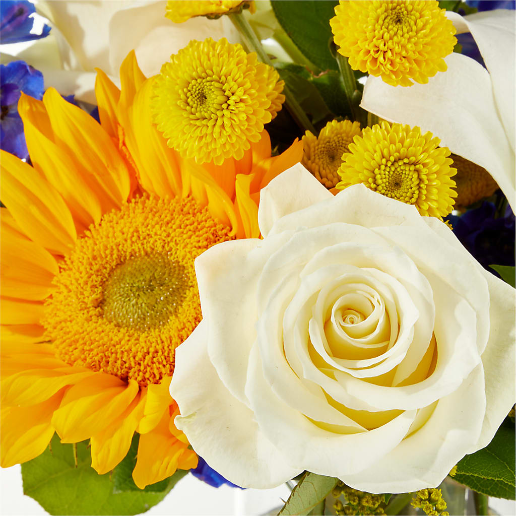 Stargazing Bouquet –  My Enchanted Florist, Sandy Spring MD