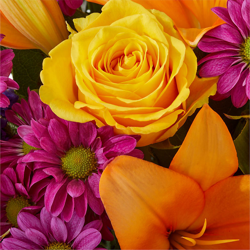 Colorful Visions Bouquet –  My Enchanted Florist, Sandy Spring MD