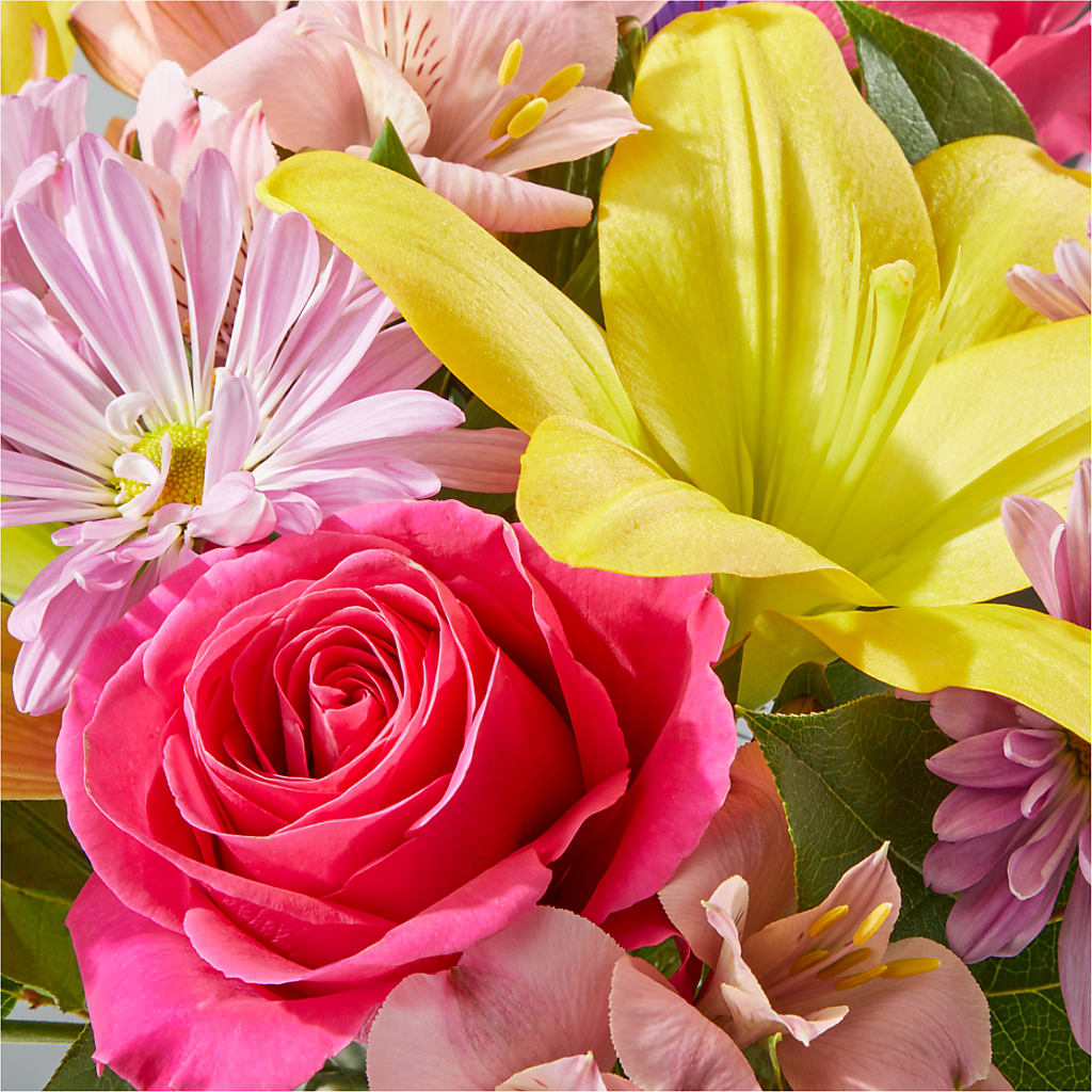 Sprinkles Bouquet –  My Enchanted Florist, Sandy Spring MD