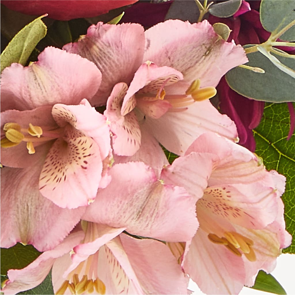 Berry Cobbler Bouquet –  My Enchanted Florist, Sandy Spring MD