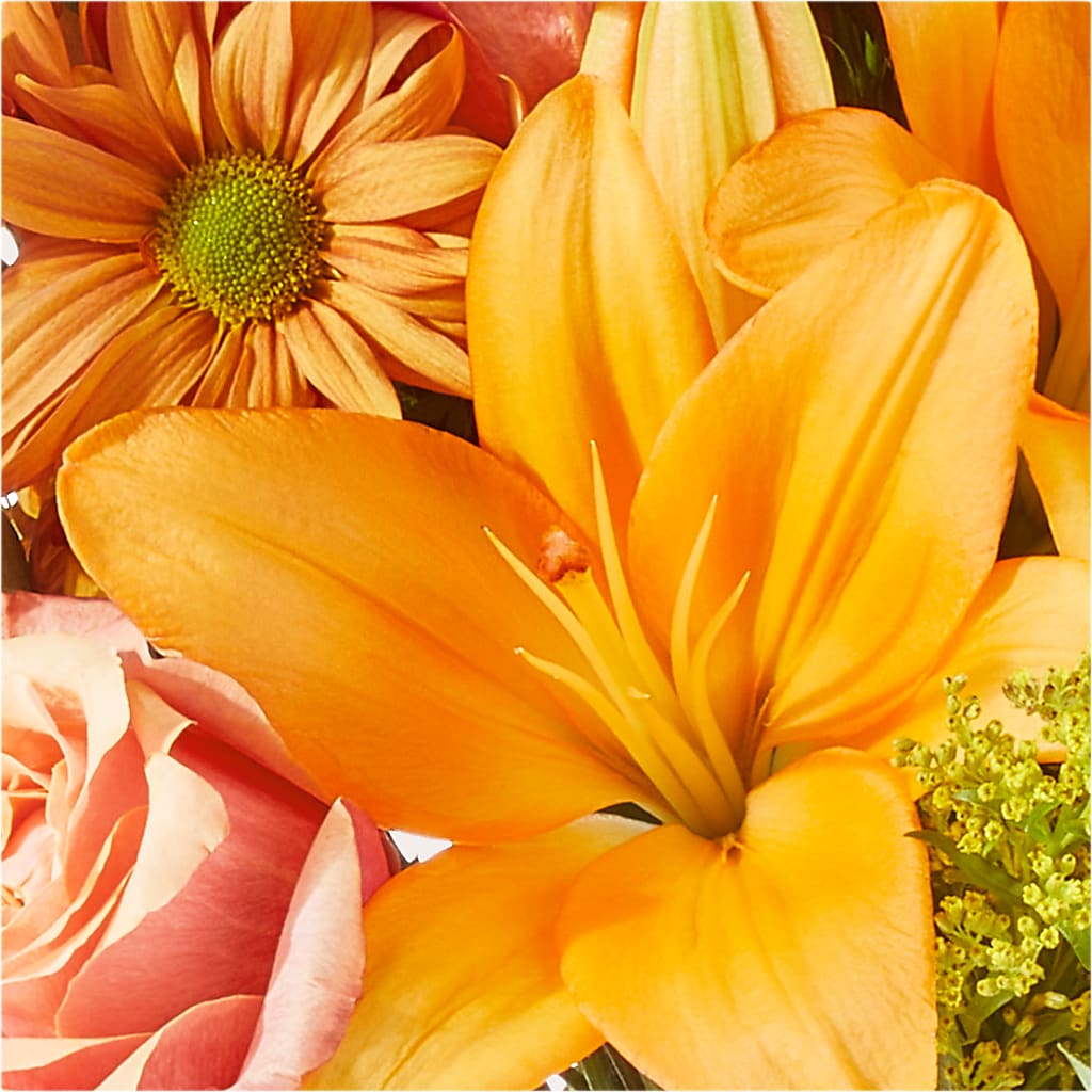 Harvest Hayride Bouquet –  My Enchanted Florist, Sandy Spring MD