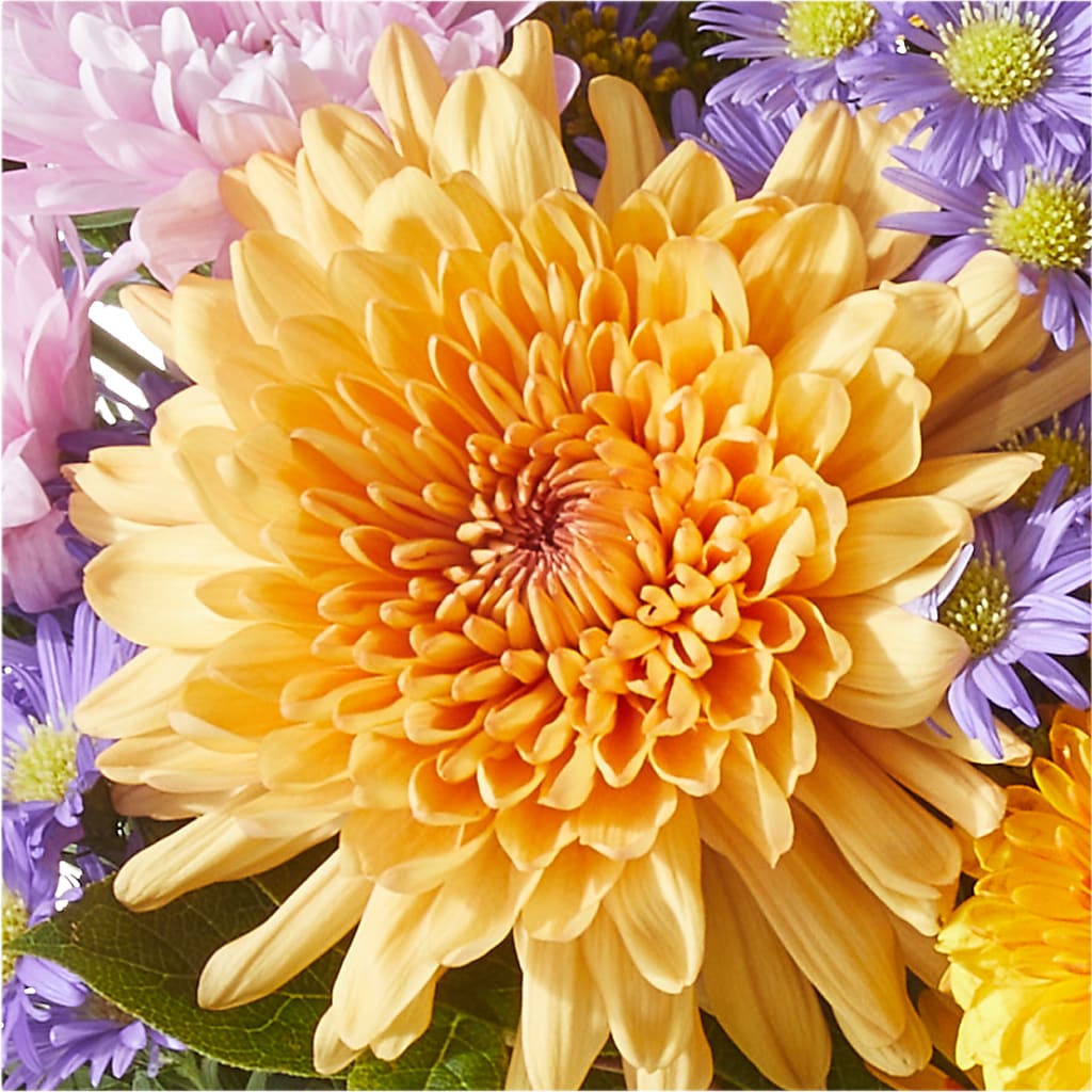 Countryside Bouquet –  My Enchanted Florist, Sandy Spring MD