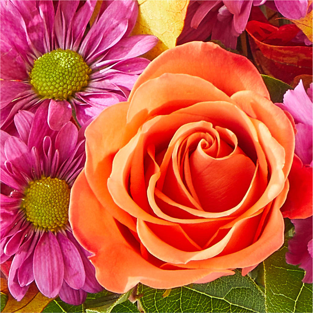 Mum's the Word Bouquet –  My Enchanted Florist, Sandy Spring MD
