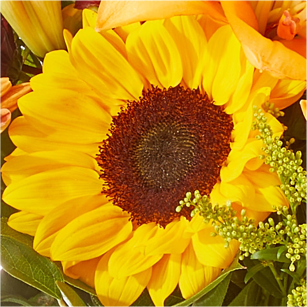 Seasons Change Bouquet –  My Enchanted Florist, Sandy Spring MD