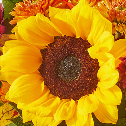 Sunny Side Bouquet –  My Enchanted Florist, Sandy Spring MD