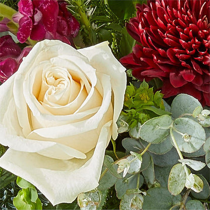 Cranberry Fizz Bouquet –  My Enchanted Florist, Sandy Spring MD
