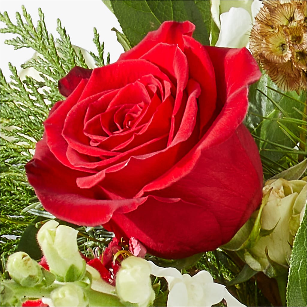 Deck the Halls Bouquet –  My Enchanted Florist, Sandy Spring MD
