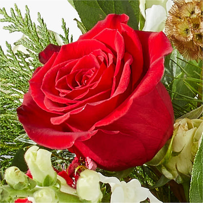Deck the Halls Bouquet –  My Enchanted Florist, Sandy Spring MD