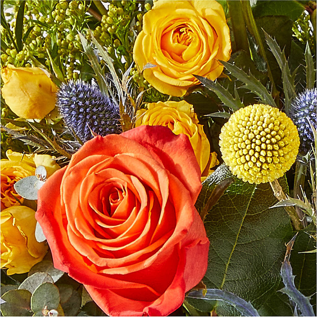 Disco Bouquet –  My Enchanted Florist, Sandy Spring MD