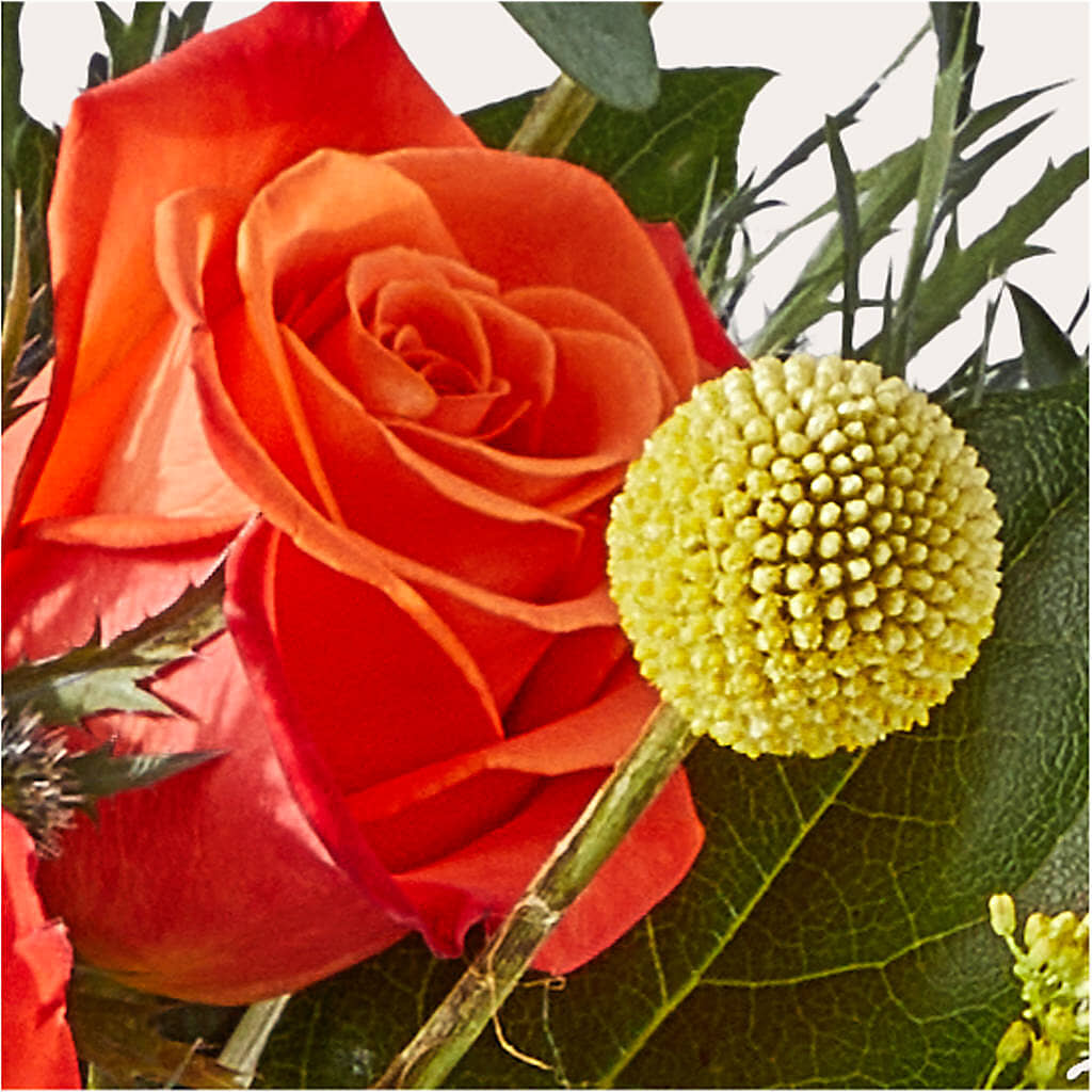 Disco Bouquet –  My Enchanted Florist, Sandy Spring MD