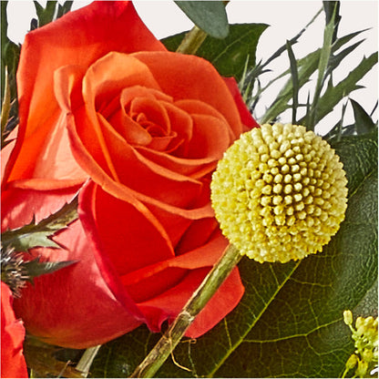 Disco Bouquet –  My Enchanted Florist, Sandy Spring MD