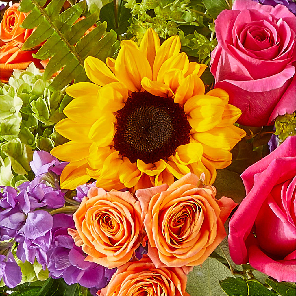 Vibrant Greetings Bouquet –  My Enchanted Florist, Sandy Spring MD