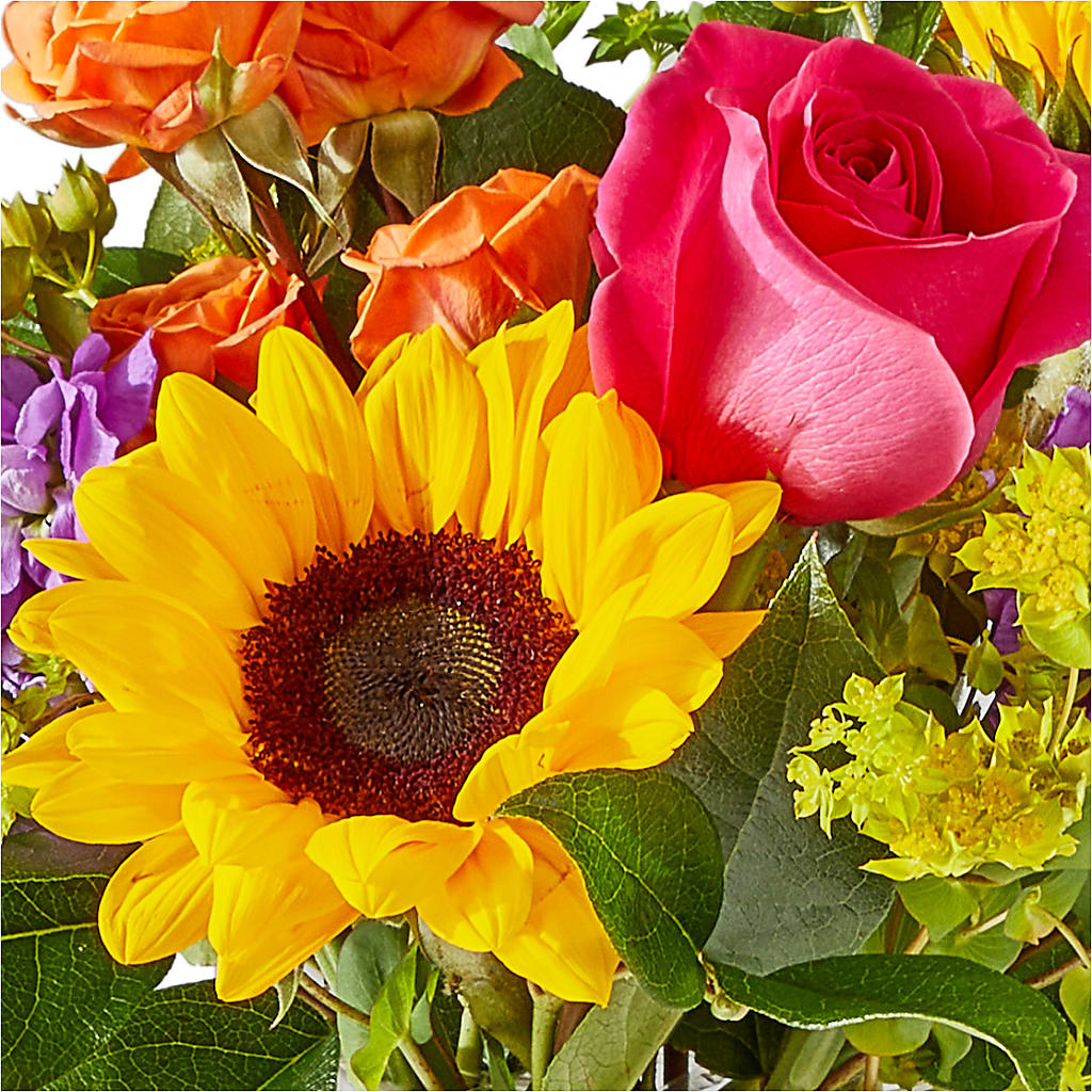 Vibrant Greetings Bouquet –  My Enchanted Florist, Sandy Spring MD