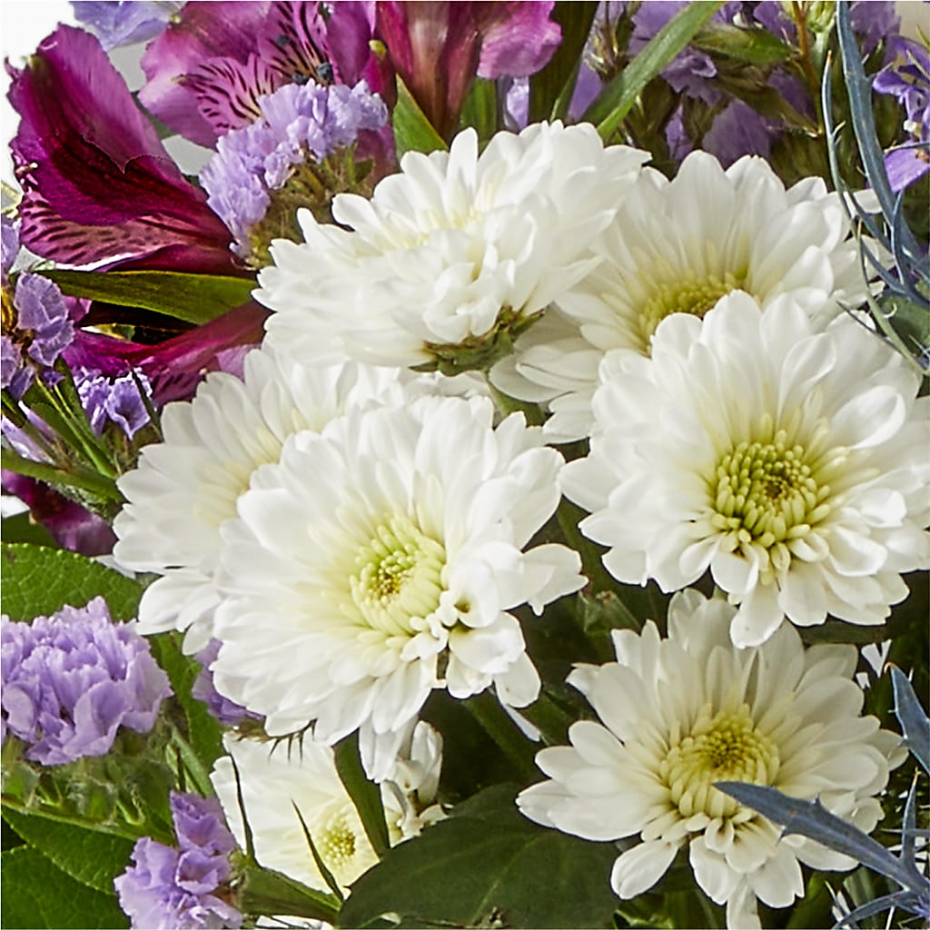 Shooting Star Bouquet –  My Enchanted Florist, Sandy Spring MD