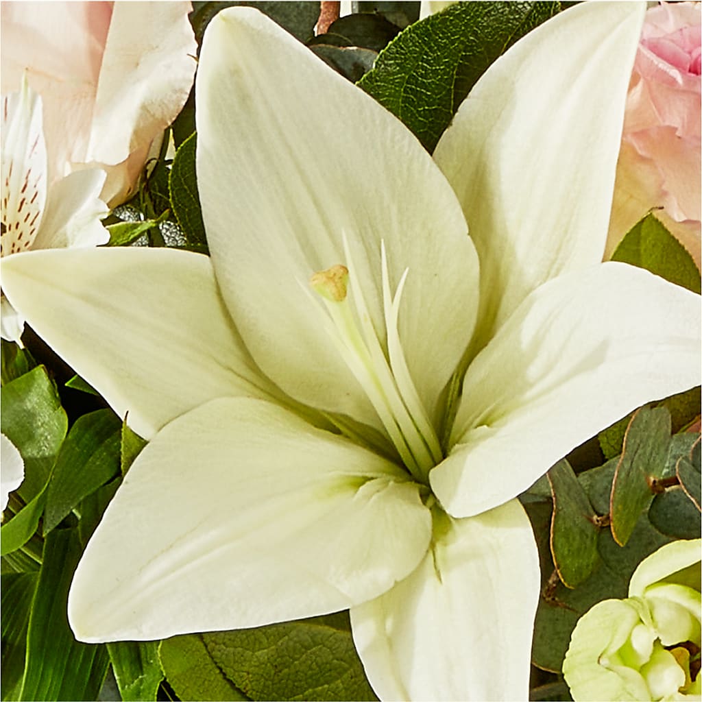 Ballet Slippers Bouquet –  My Enchanted Florist, Sandy Spring MD