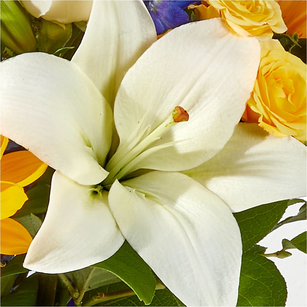 Wonderfully Sunny Bouquet –  My Enchanted Florist, Sandy Spring MD