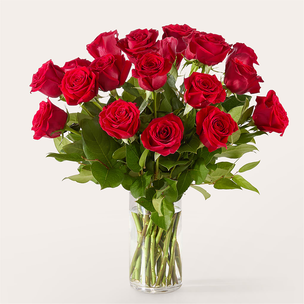 The One Red Rose Bouquet –  My Enchanted Florist, Sandy Spring MD