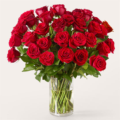 The One Red Rose Bouquet –  My Enchanted Florist, Sandy Spring MD