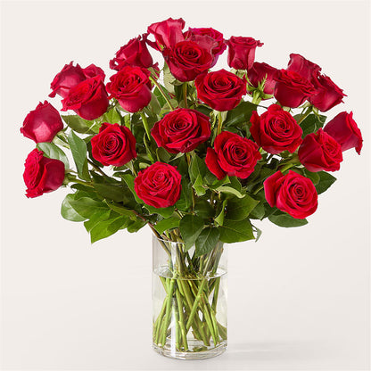 The One Red Rose Bouquet –  My Enchanted Florist, Sandy Spring MD