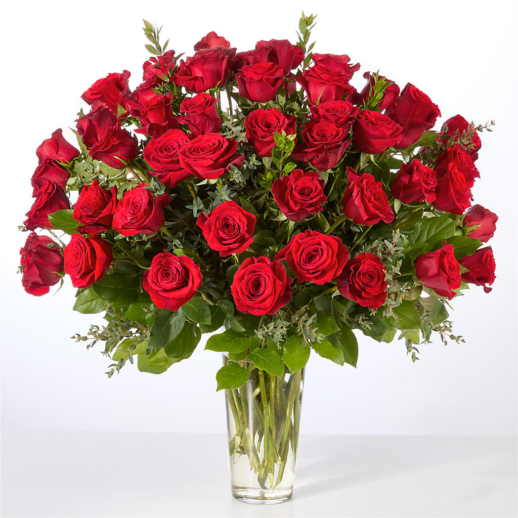 Forever Yours Fifty Stem Red Rose Bouquet –  My Enchanted Florist, Sandy Spring MD