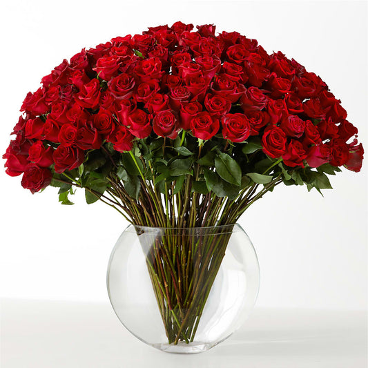 The Idealist –  My Enchanted Florist, Sandy Spring MD