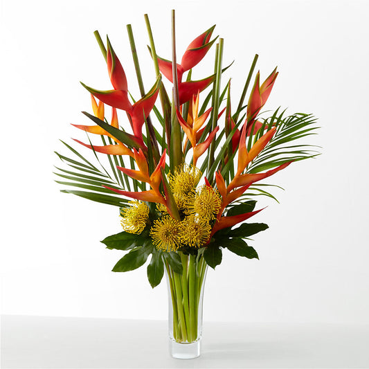 The Drama –  My Enchanted Florist, Sandy Spring MD