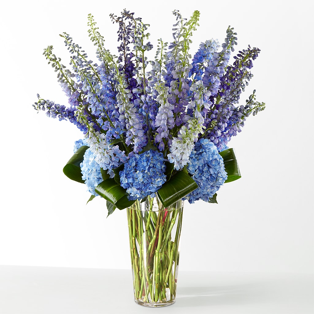 The Editorial –  My Enchanted Florist, Sandy Spring MD