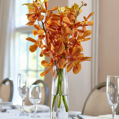 Orange Mokara Bud Vase –  My Enchanted Florist, Sandy Spring MD