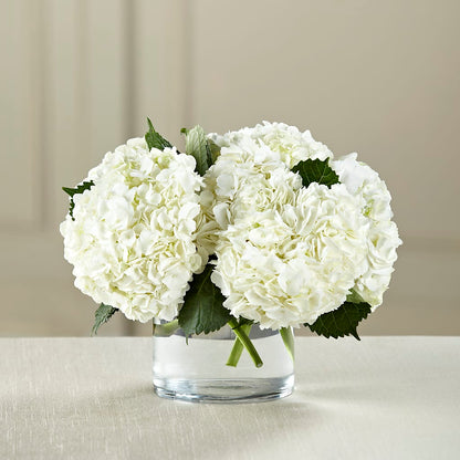 White Hydrangea Bouquet –  My Enchanted Florist, Sandy Spring MD